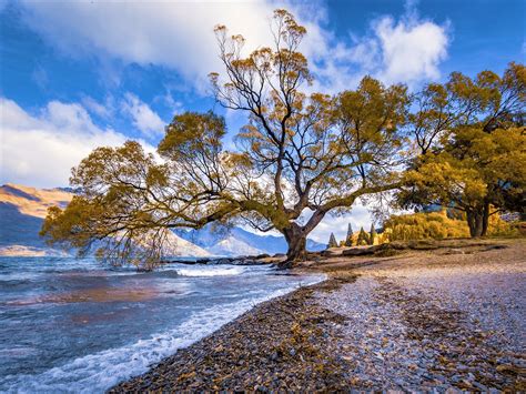 fall beach background|Fall Beach Photos, Download The BEST Free Fall .